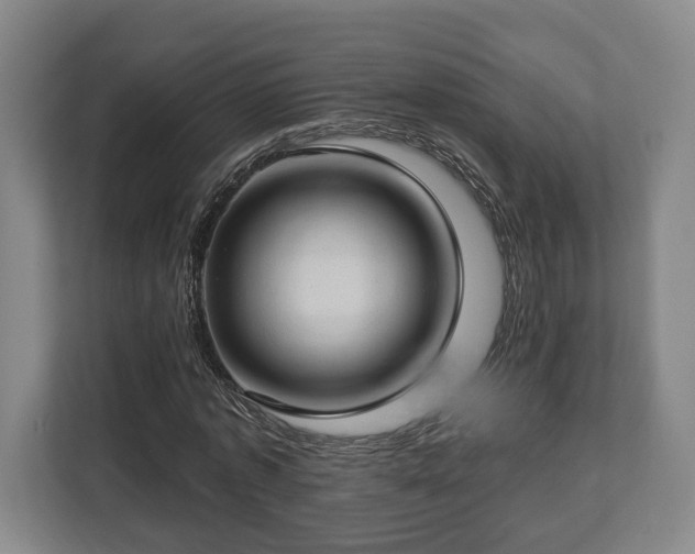 X0000112740773200908271521