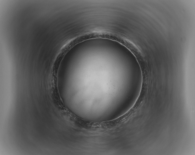 X0000112740776200908271521