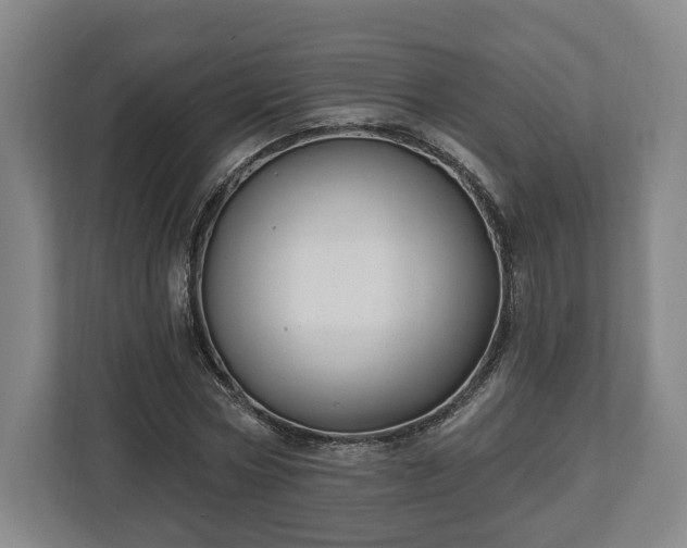 X0000112740778200908271521