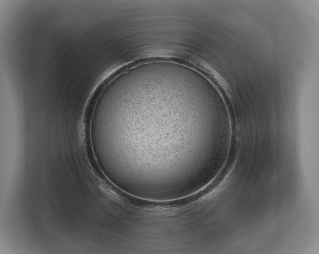 X0000112740779200908271521