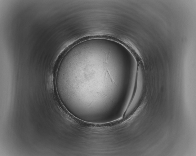 X0000112740781200908271521