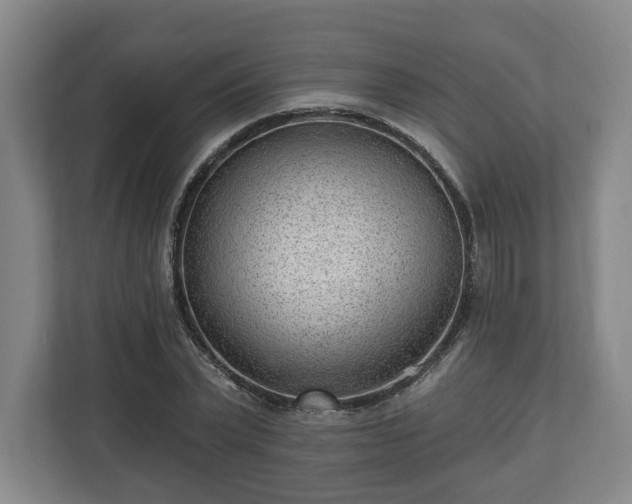 X0000112740783200908271521