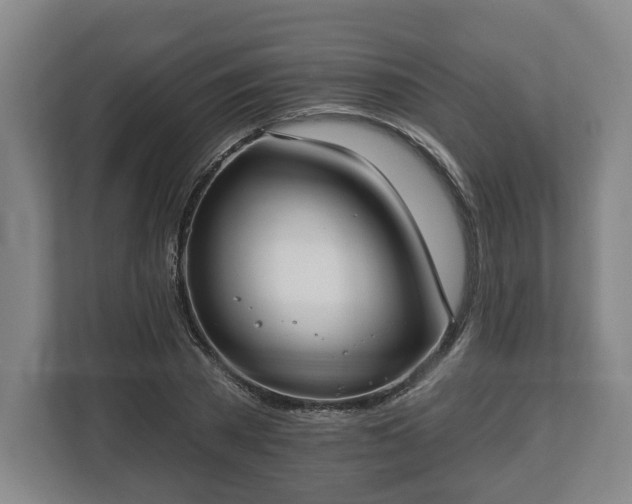 X0000112740785200908271521