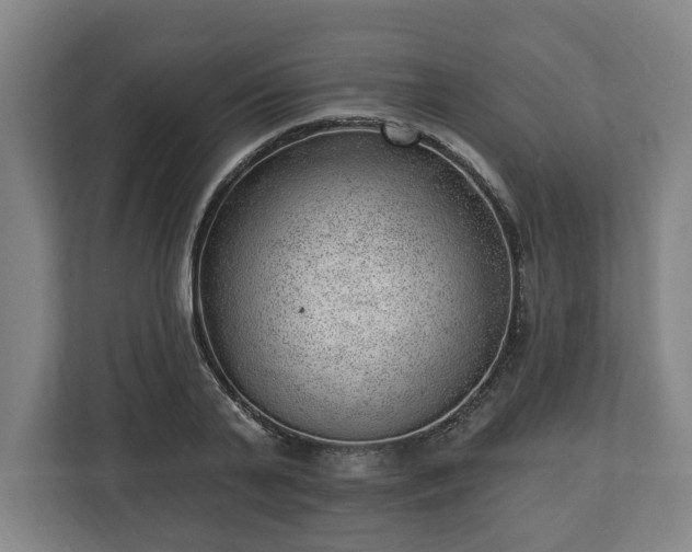 X0000112740791200908271520