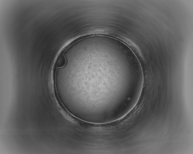 X0000112740792200908271520