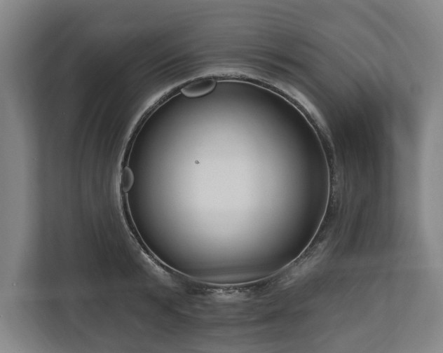 X0000112740799200908271520