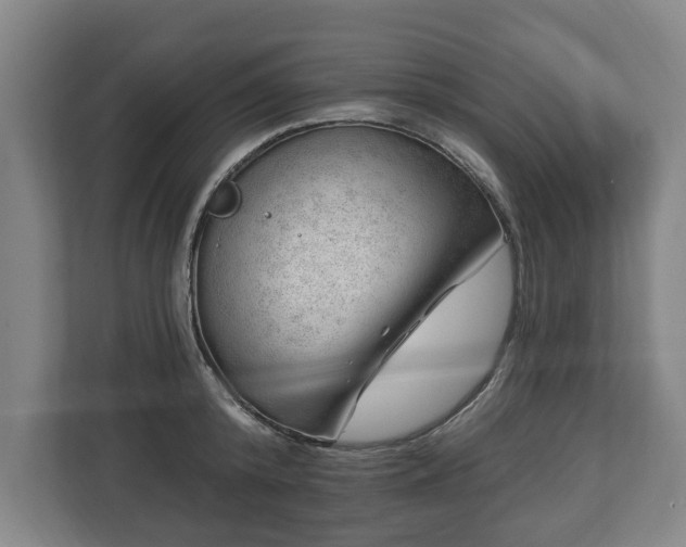 X0000112740800200908271520