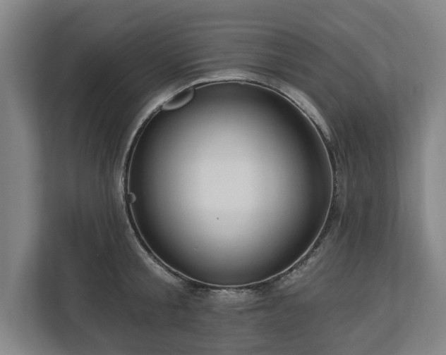 X0000112740805200908271520