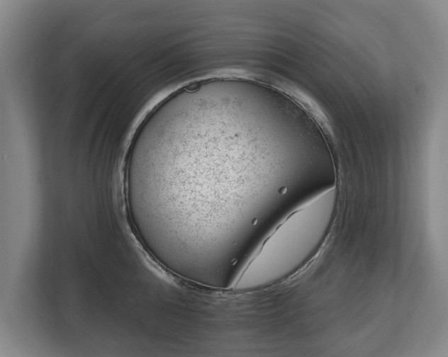 X0000112740808200908271520