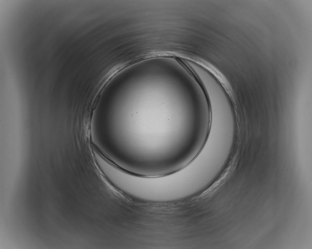 X0000112740809200908271520