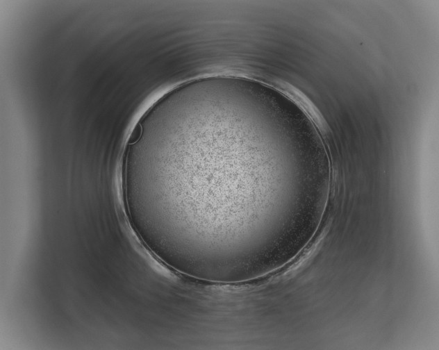 X0000112740812200908271520