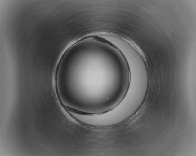 X0000112740813200908271520