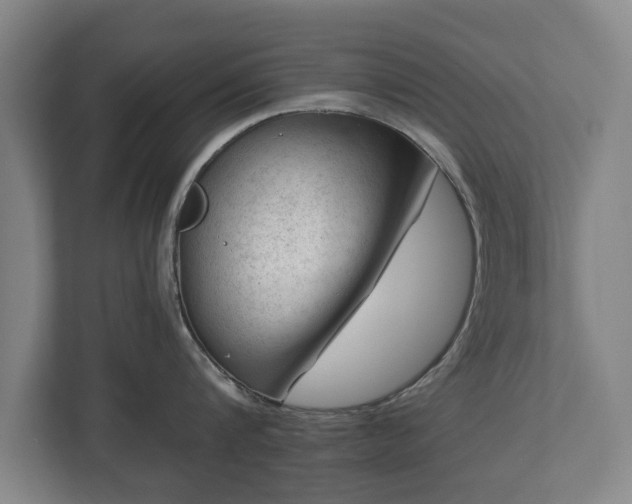 X0000112740816200908271520