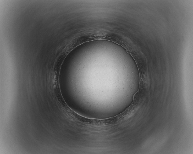 X0000112740818200908271519