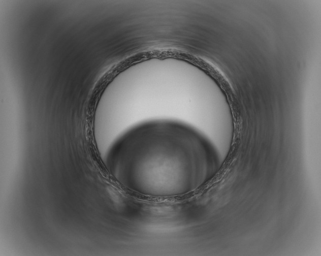 X0000112740823200908271520