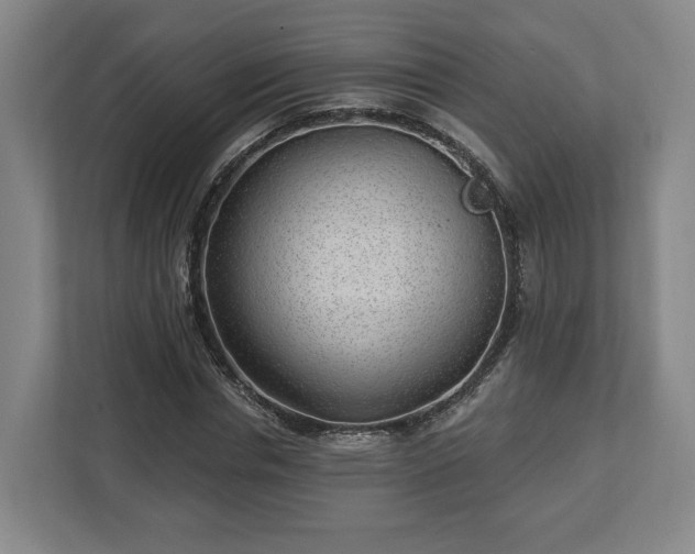 X0000112740826200908271520