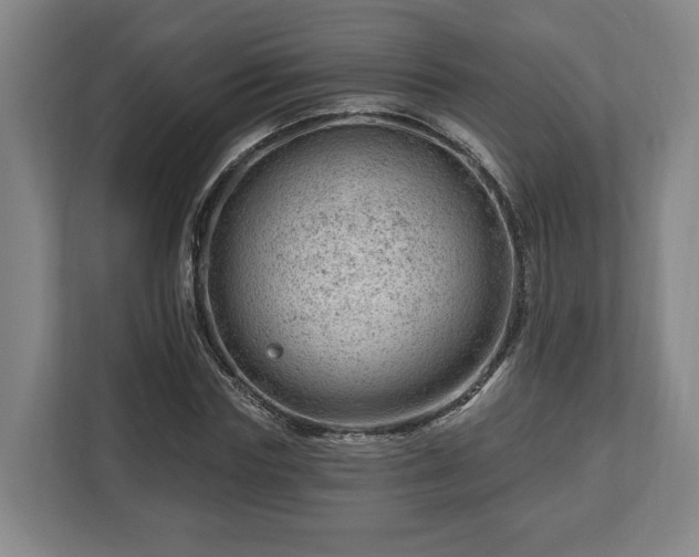 X0000112740827200908271520