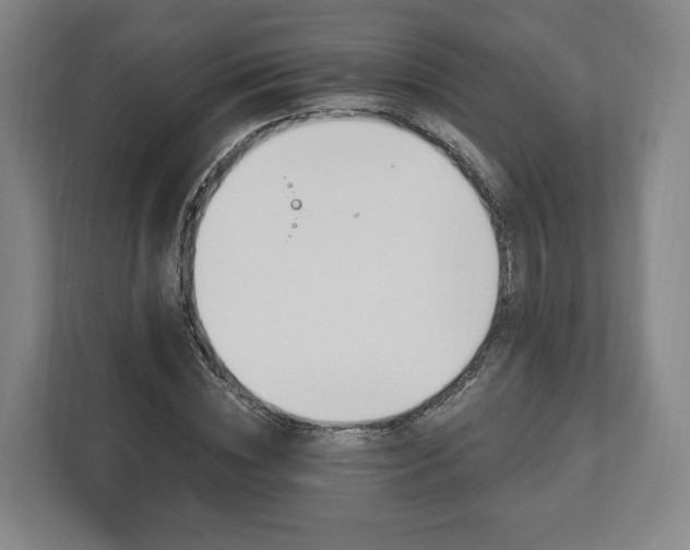 X0000112740828200908271520