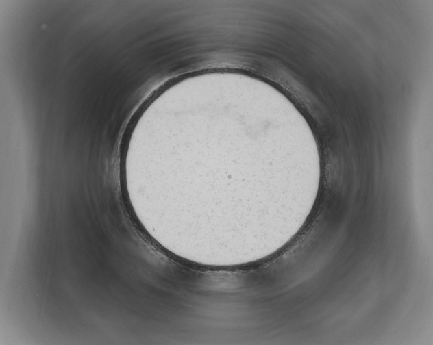 X0000112740836200908271520