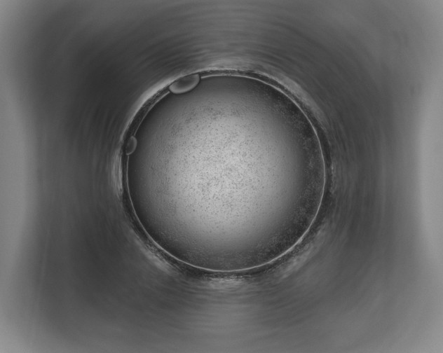 X0000112740838200908271520