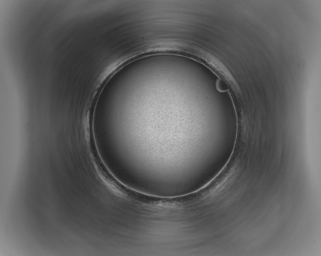 X0000112740842200908271520