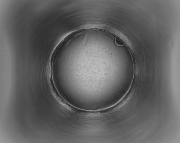 X0000112740844200908271520