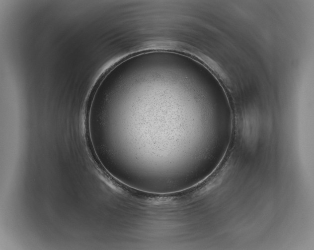 X0000112740846200908271520