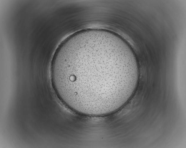 X0000112740848200908271520