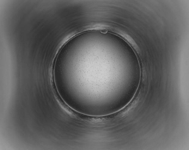 X0000112740850200908271520