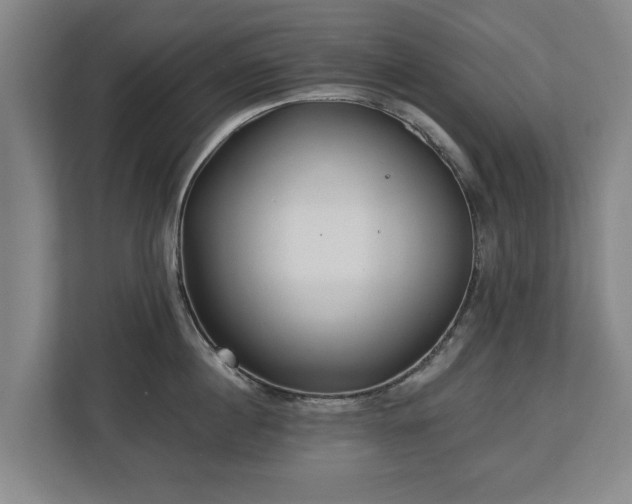 X0000112740860200908271520