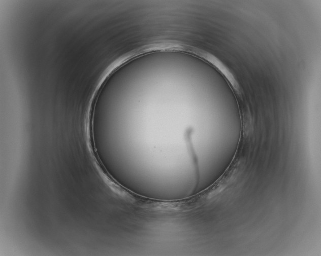 X0000112740861200908271520