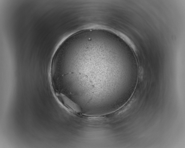 X0000112740863200908271520