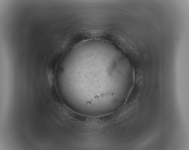 X0000112740866200908271519