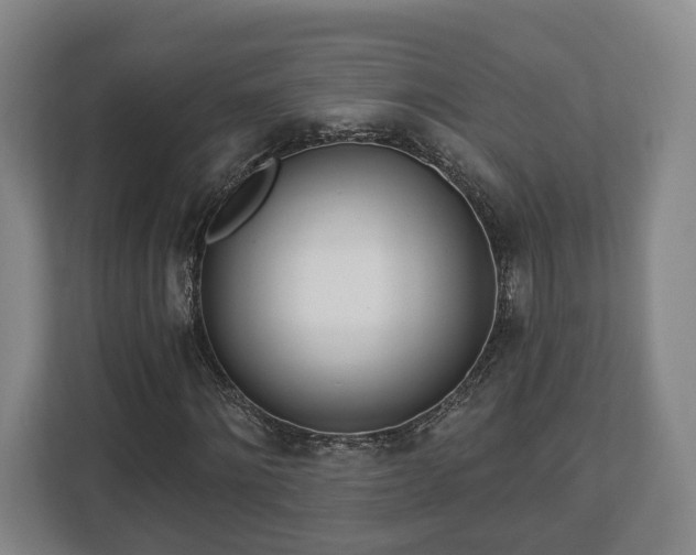X0000112740868200908271519