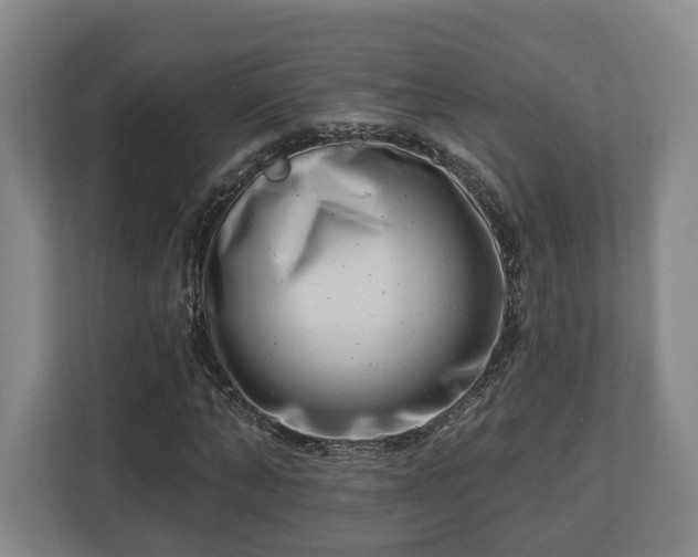 X0000112740870200908271519