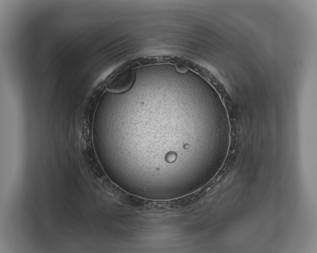 X0000112740871200908271519