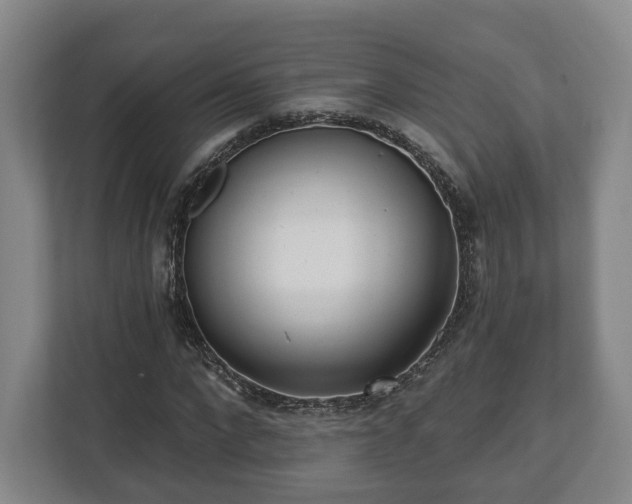 X0000112740872200908271519