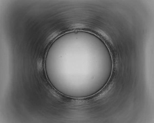 X0000112740873200908271519