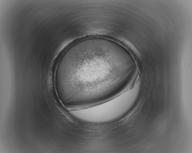 X0000112740878200908271519