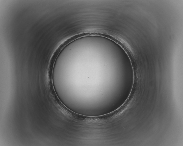 X0000112740880200908271519