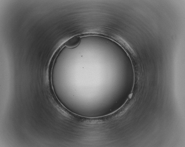 X0000112740884200908271519