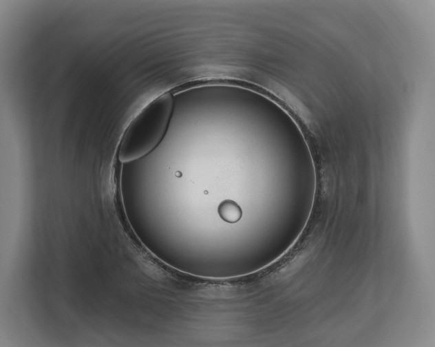 X0000112740885200908271519