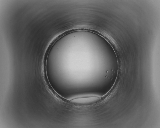 X0000112740888200908271519