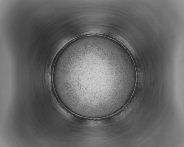 X0000112740890200908271519