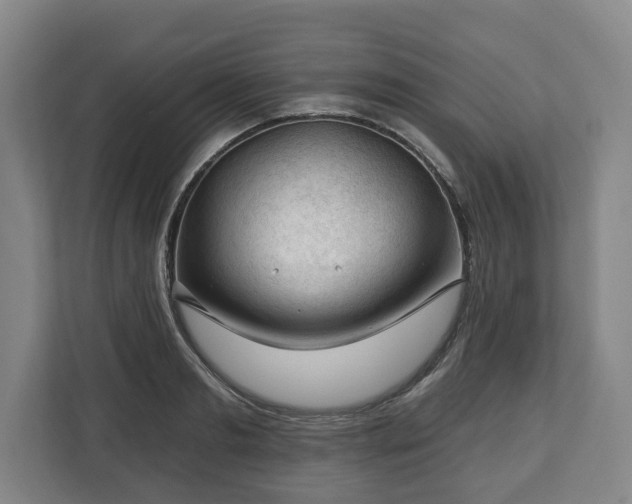 X0000112740893200908271519