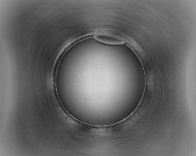 X0000112740896200908271519