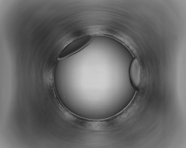 X0000112740897200908271519