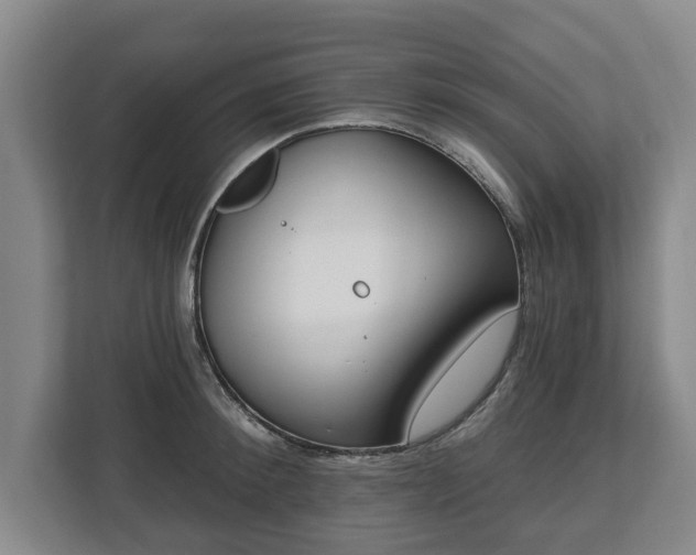 X0000112740900200908271519