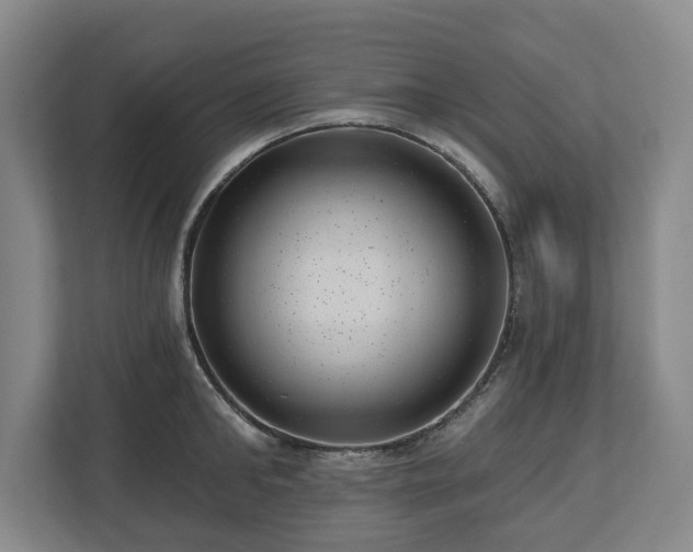 X0000112740902200908271519