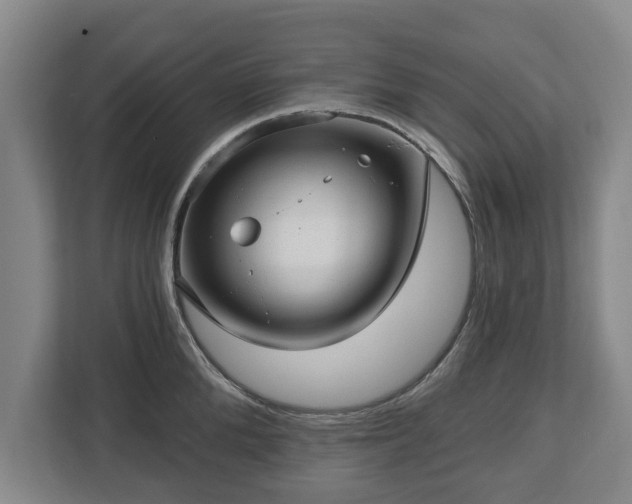 X0000112740904200908271519